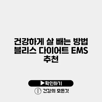 건강하게 살 빼는 방법 블리스 다이어트 EMS 추천