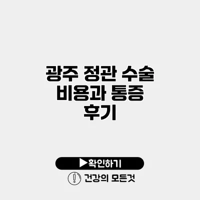 광주 정관 수술 비용과 통증 후기