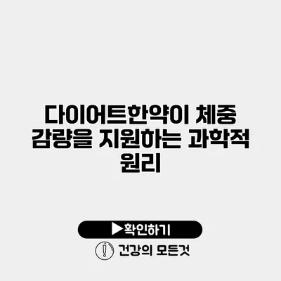 다이어트한약이 체중 감량을 지원하는 과학적 원리