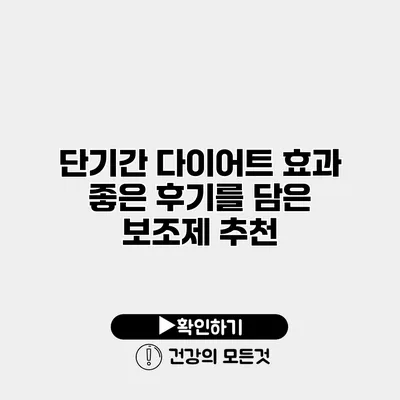 단기간 다이어트 효과 좋은 후기를 담은 보조제 추천
