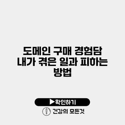 도메인 구매 경험담 내가 겪은 일과 피하는 방법