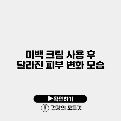 미백 크림 사용 후 달라진 피부 변화 모습