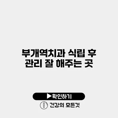 부개역치과 식립 후 관리 잘 해주는 곳