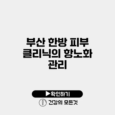 부산 한방 피부 클리닉의 항노화 관리