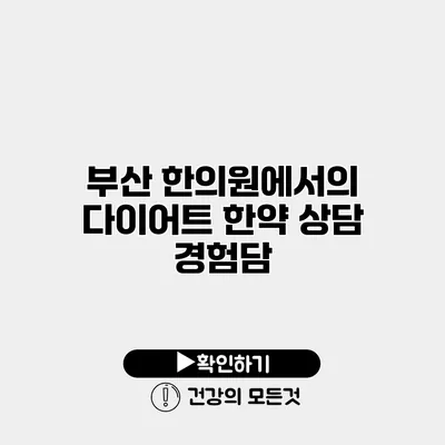 부산 한의원에서의 다이어트 한약 상담 경험담