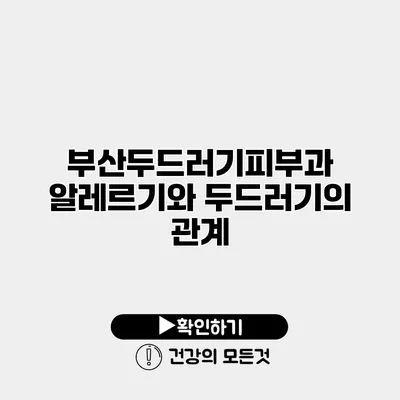 부산두드러기피부과 알레르기와 두드러기의 관계