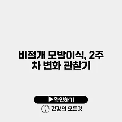 비절개 모발이식, 2주 차 변화 관찰기