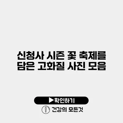 신청사 시즌 꽃 축제를 담은 고화질 사진 모음