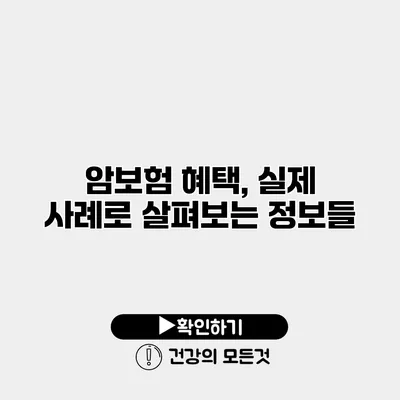 암보험 혜택, 실제 사례로 살펴보는 정보들