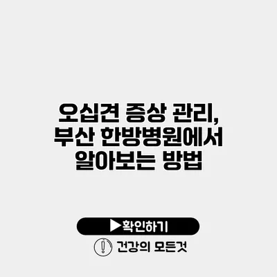 오십견 증상 관리, 부산 한방병원에서 알아보는 방법