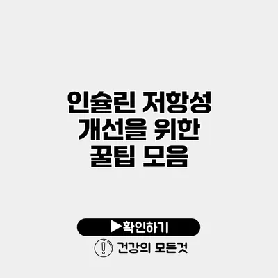 인슐린 저항성 개선을 위한 꿀팁 모음