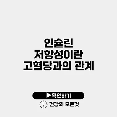 인슐린 저항성이란? 고혈당과의 관계
