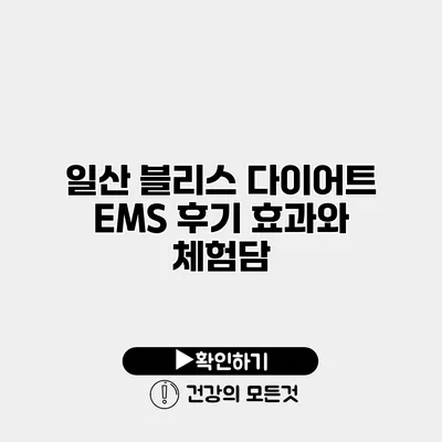 일산 블리스 다이어트 EMS 후기 효과와 체험담