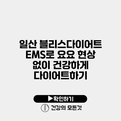 일산 블리스다이어트 EMS로 요요 현상 없이 건강하게 다이어트하기