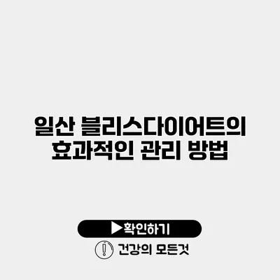 일산 블리스다이어트의 효과적인 관리 방법