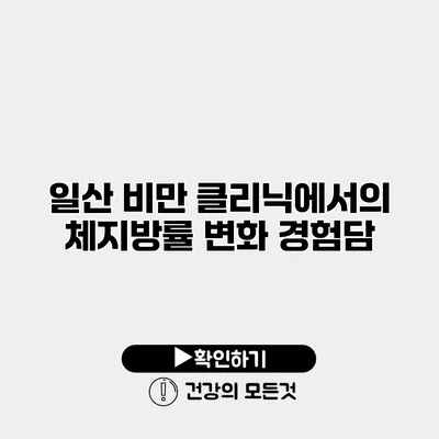 일산 비만 클리닉에서의 체지방률 변화 경험담