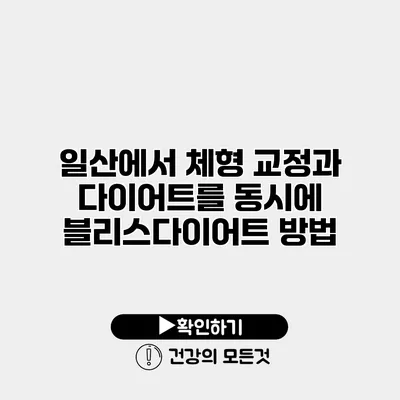 일산에서 체형 교정과 다이어트를 동시에 블리스다이어트 방법