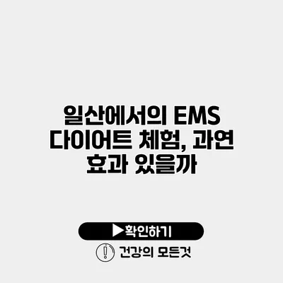일산에서의 EMS 다이어트 체험, 과연 효과 있을까?