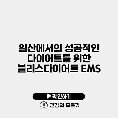 일산에서의 성공적인 다이어트를 위한 블리스다이어트 EMS