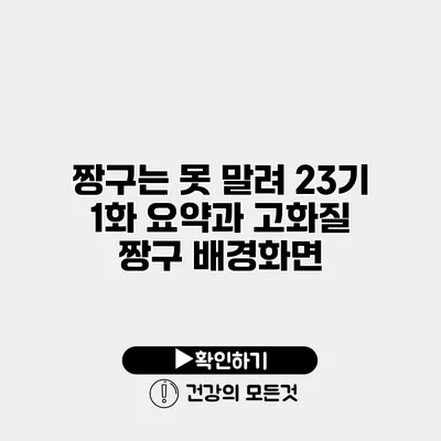 짱구는 못 말려 23기 1화 요약과 고화질 짱구 배경화면