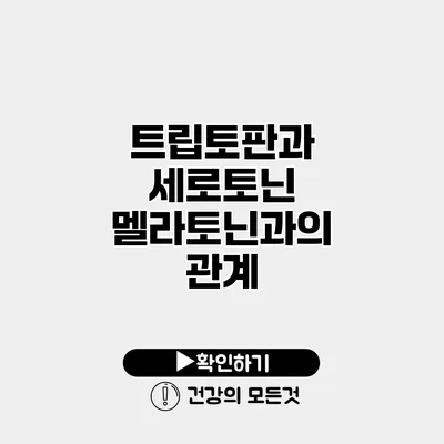 트립토판과 세로토닌 멜라토닌과의 관계