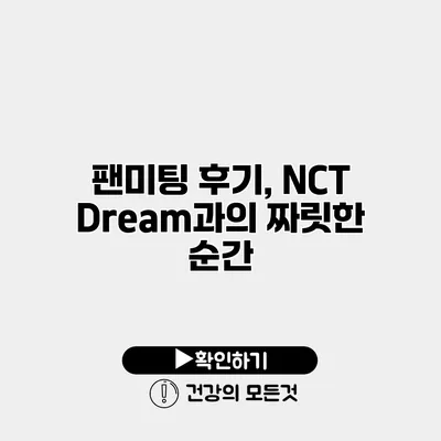팬미팅 후기, NCT Dream과의 짜릿한 순간