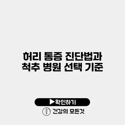 허리 통증 진단법과 척추 병원 선택 기준