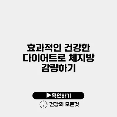 효과적인 건강한 다이어트로 체지방 감량하기