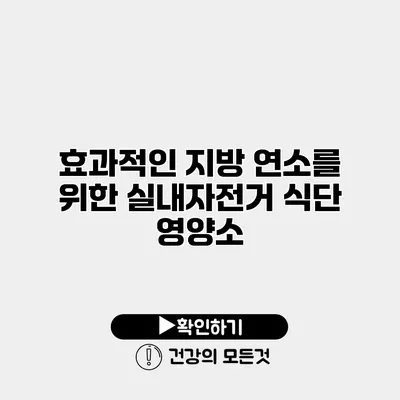 효과적인 지방 연소를 위한 실내자전거 식단 영양소
