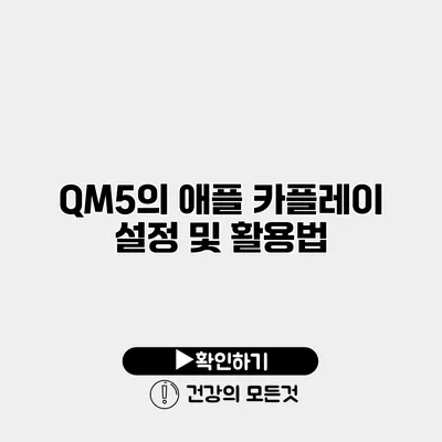 QM5의 애플 카플레이 설정 및 활용법
