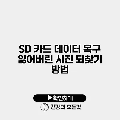 SD 카드 데이터 복구 잃어버린 사진 되찾기 방법