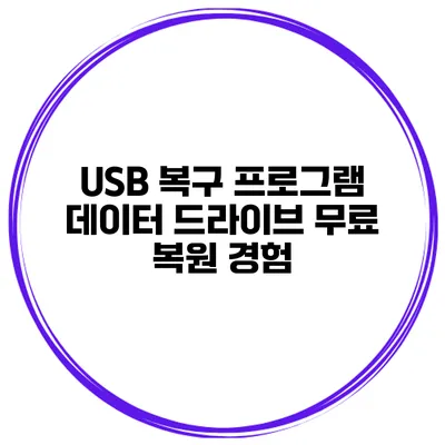 USB 복구 프로그램 데이터 드라이브 무료 복원 경험