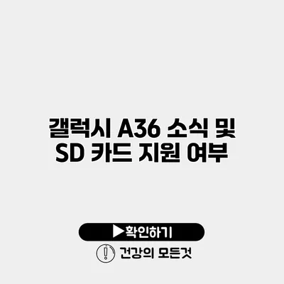 갤럭시 A36 소식 및 SD 카드 지원 여부