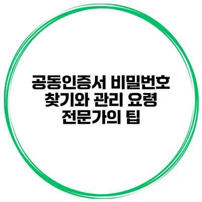 공동인증서 비밀번호 찾기와 관리 요령 전문가의 팁