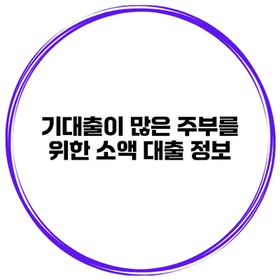 기대출이 많은 주부를 위한 소액 대출 정보