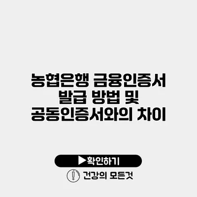 농협은행 금융인증서 발급 방법 및 공동인증서와의 차이