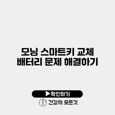 모닝 스마트키 교체 배터리 문제 해결하기
