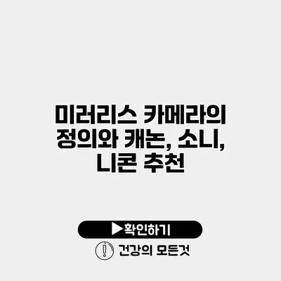 미러리스 카메라의 정의와 캐논, 소니, 니콘 추천