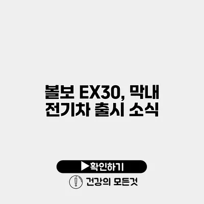 볼보 EX30, 막내 전기차 출시 소식