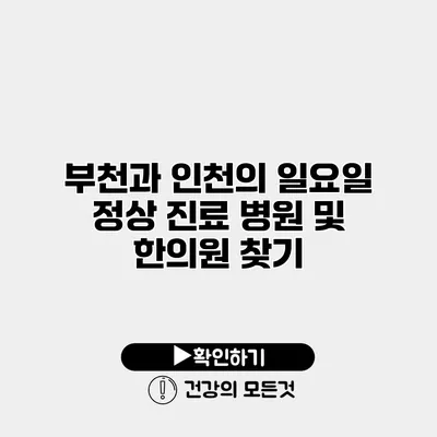 부천과 인천의 일요일 정상 진료 병원 및 한의원 찾기