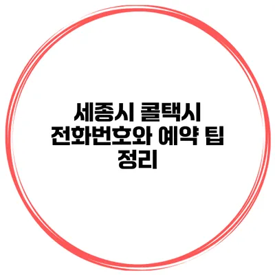 세종시 콜택시 전화번호와 예약 팁 정리