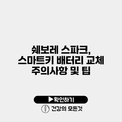 쉐보레 스파크, 스마트키 배터리 교체 주의사항 및 팁