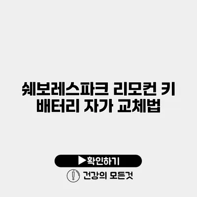 쉐보레스파크 리모컨 키 배터리 자가 교체법