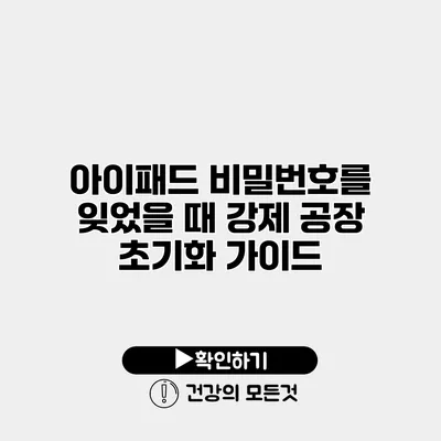 아이패드 비밀번호를 잊었을 때 강제 공장 초기화 가이드