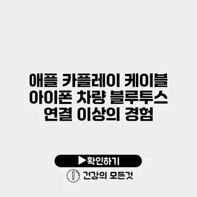 애플 카플레이 케이블 아이폰 차량 블루투스 연결 이상의 경험
