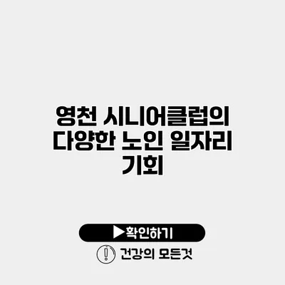 영천 시니어클럽의 다양한 노인 일자리 기회