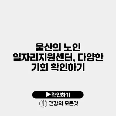 울산의 노인 일자리지원센터, 다양한 기회 확인하기