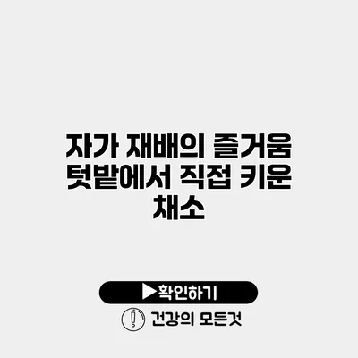 자가 재배의 즐거움 텃밭에서 직접 키운 채소