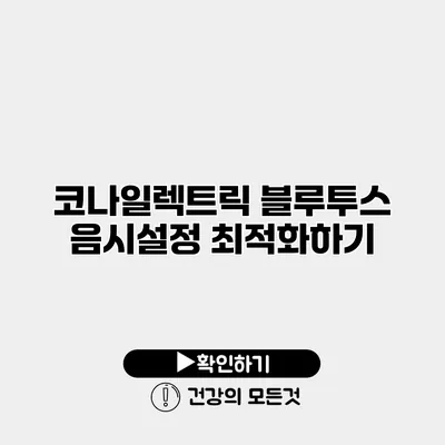 코나일렉트릭 블루투스 음시설정 최적화하기