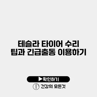 테슬라 타이어 수리 팁과 긴급출동 이용하기
